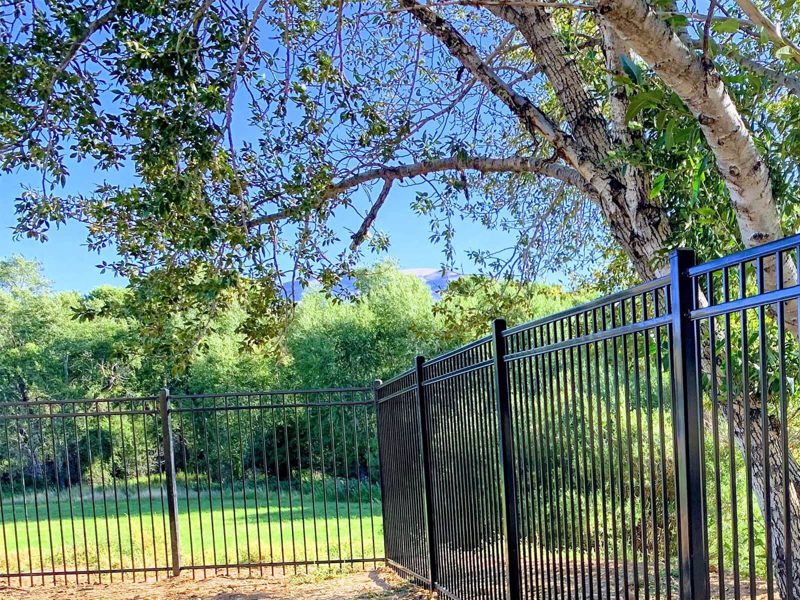 aluminum fence Buffalo Wyoming